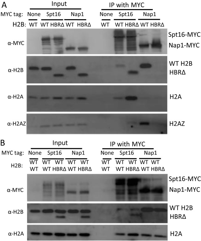 Figure 3.