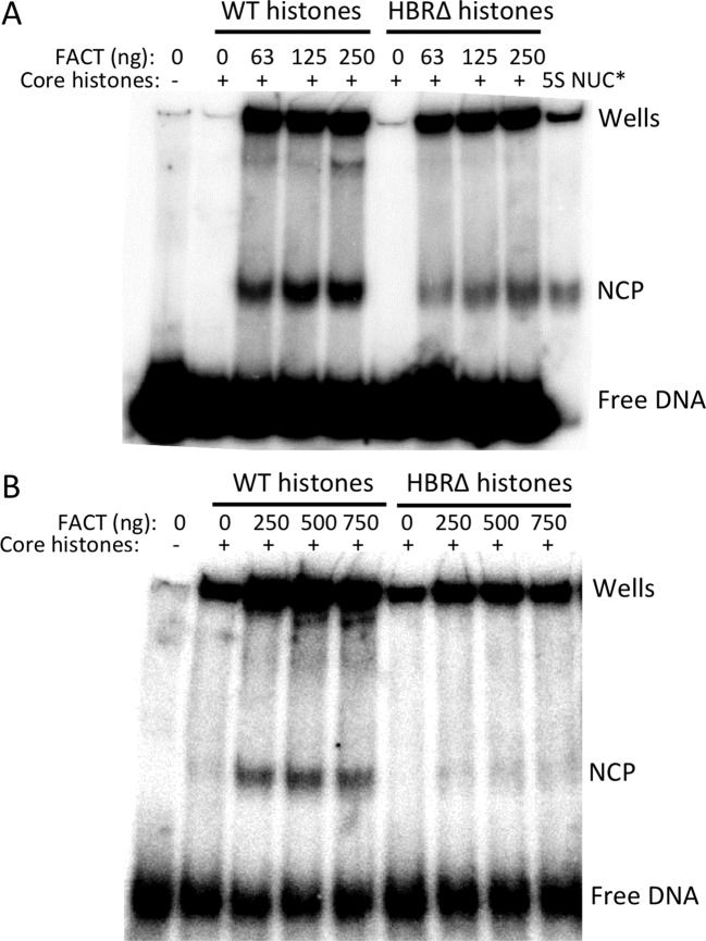 Figure 5.