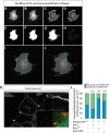 Figure 4—figure supplement 1.