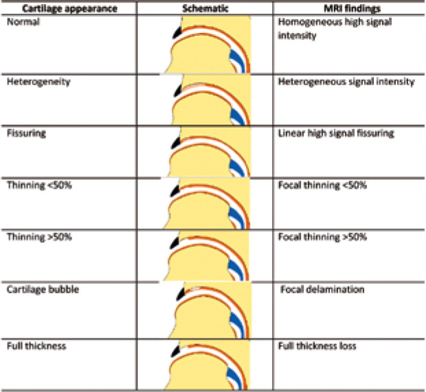 Figure 20