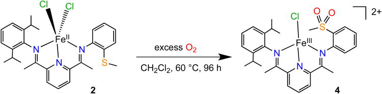 Scheme 4