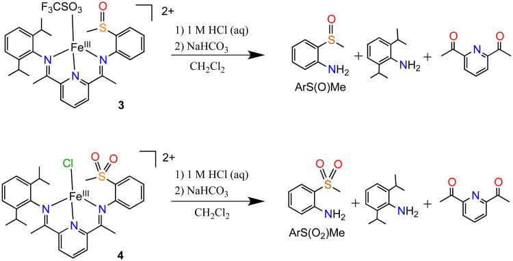 Scheme 5