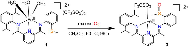 Scheme 3