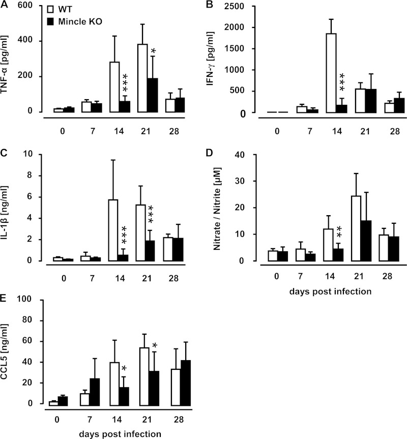 FIG 4