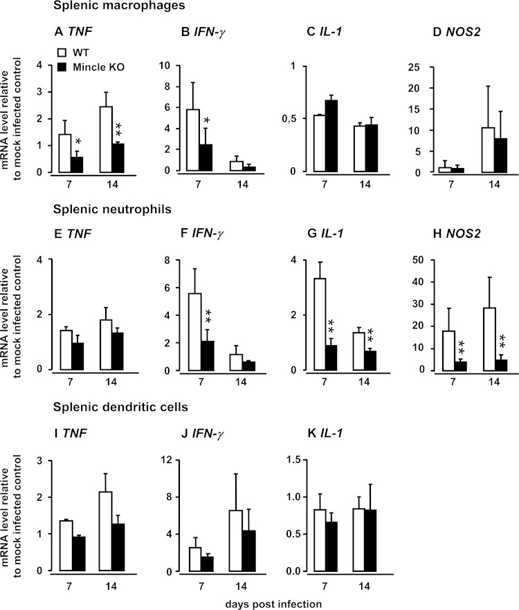 FIG 3