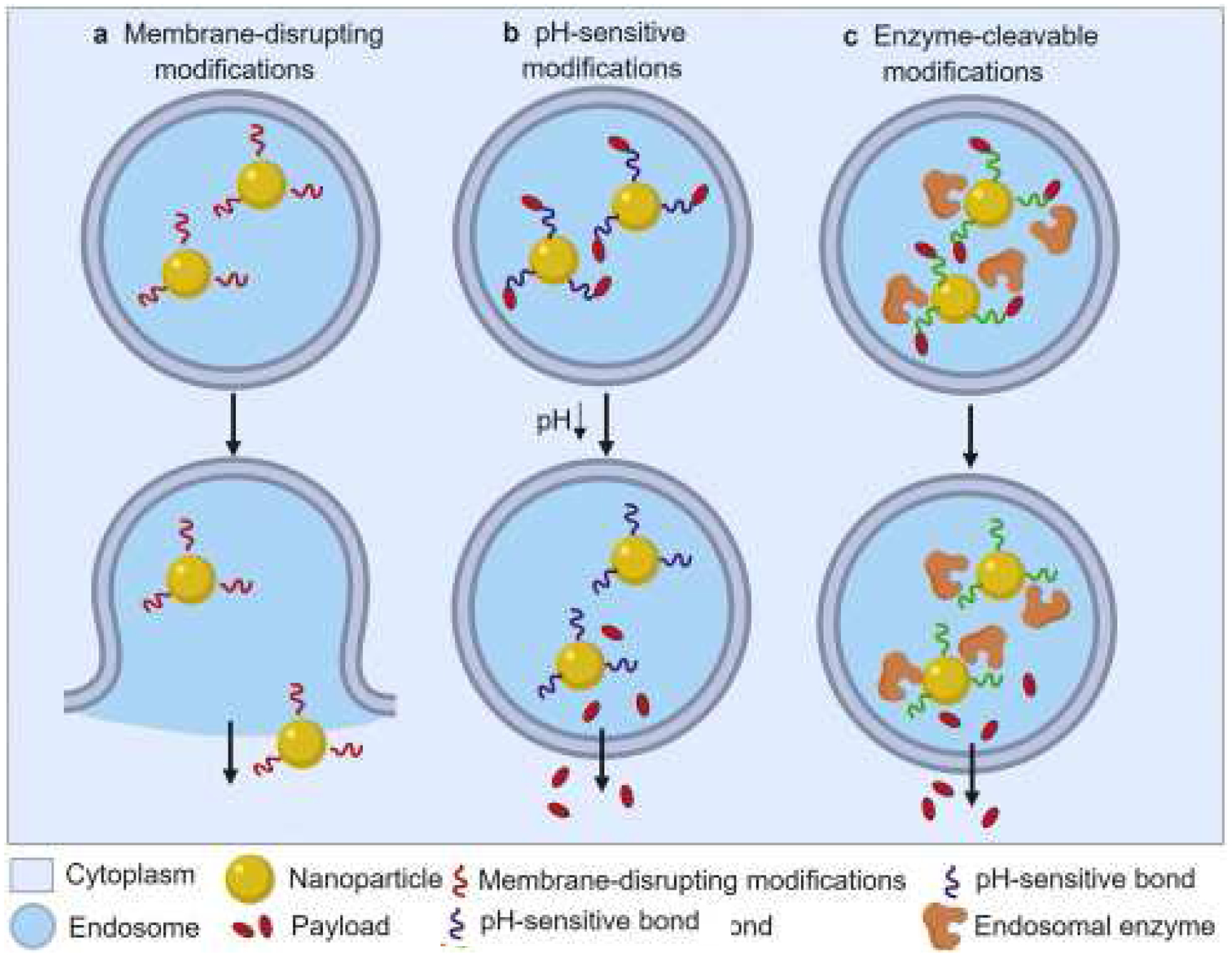 Figure 6: