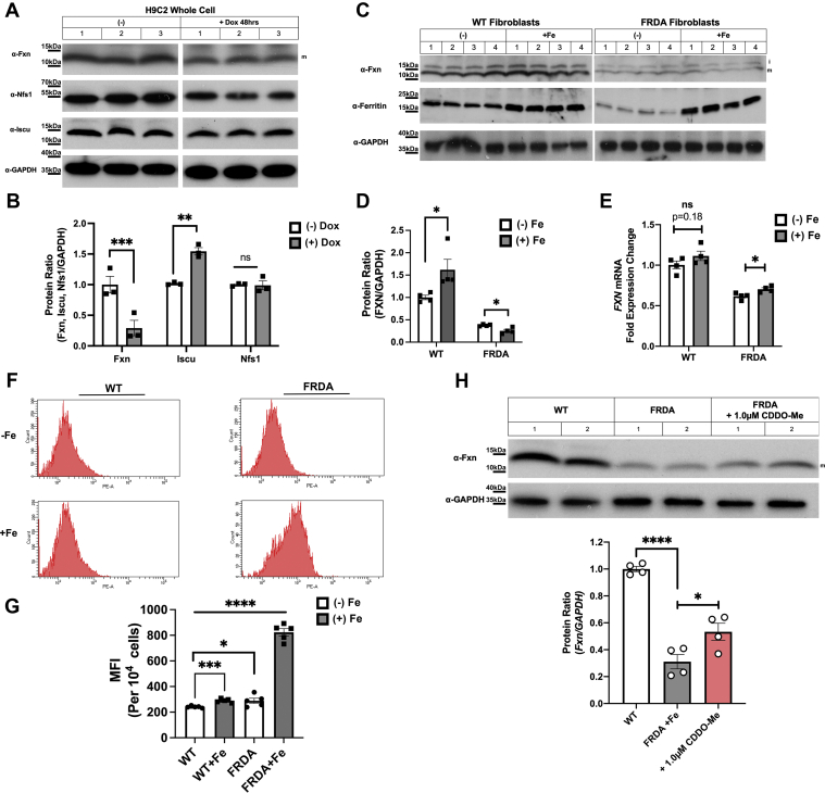 Figure 3