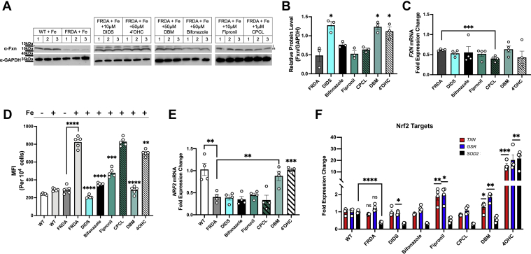 Figure 6