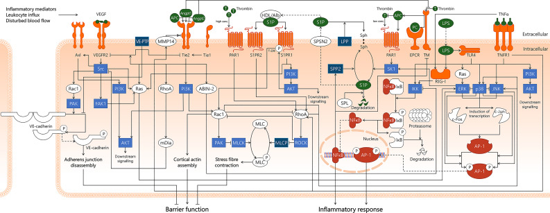 Figure 7