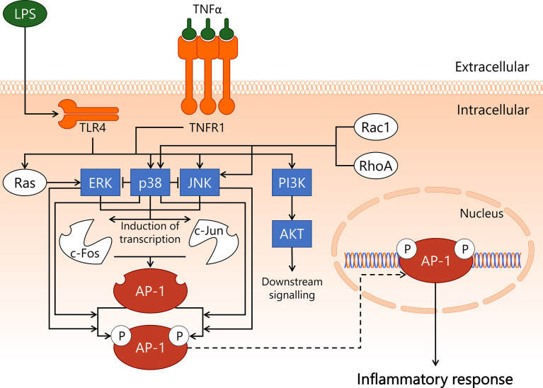 Figure 3