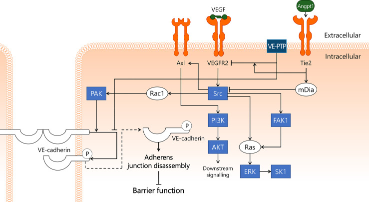 Figure 6