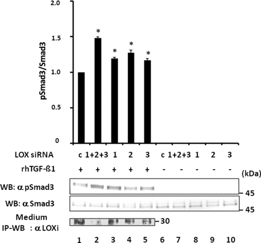 FIGURE 10.