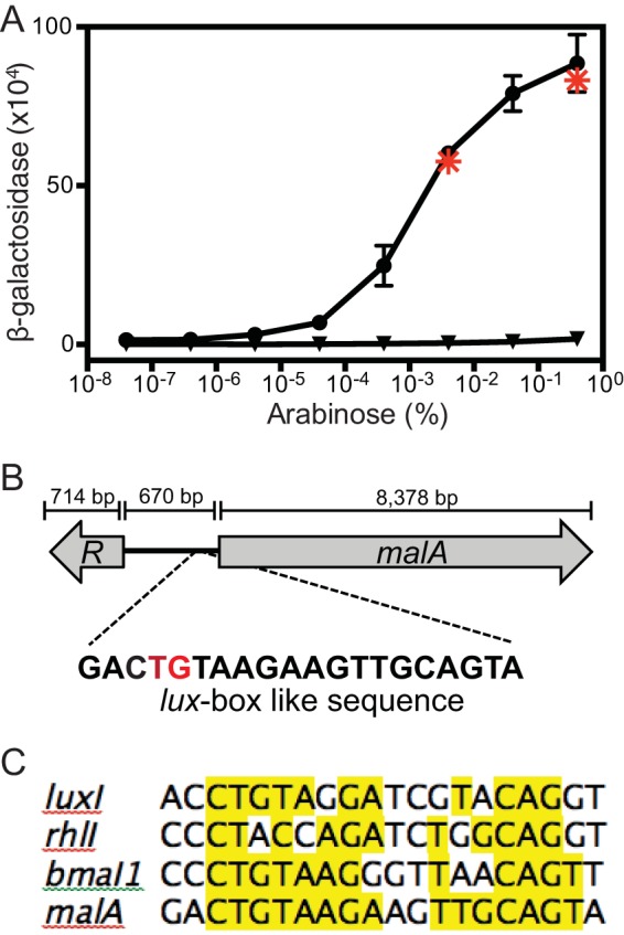 FIG 3