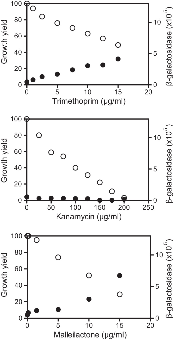 FIG 2