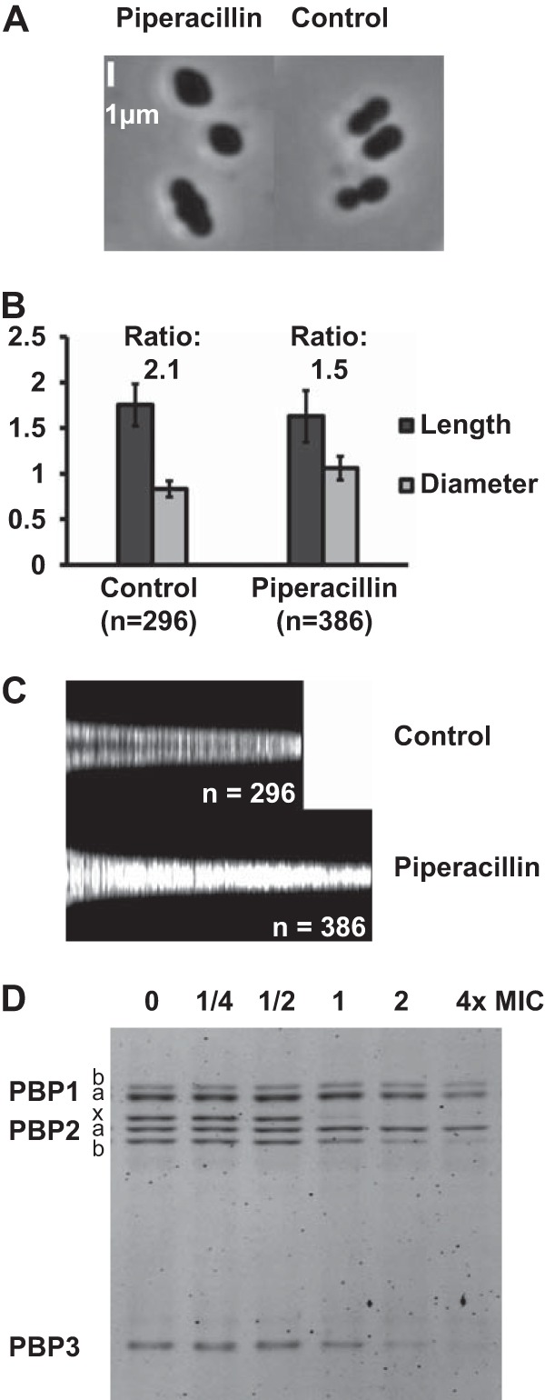 FIG 1