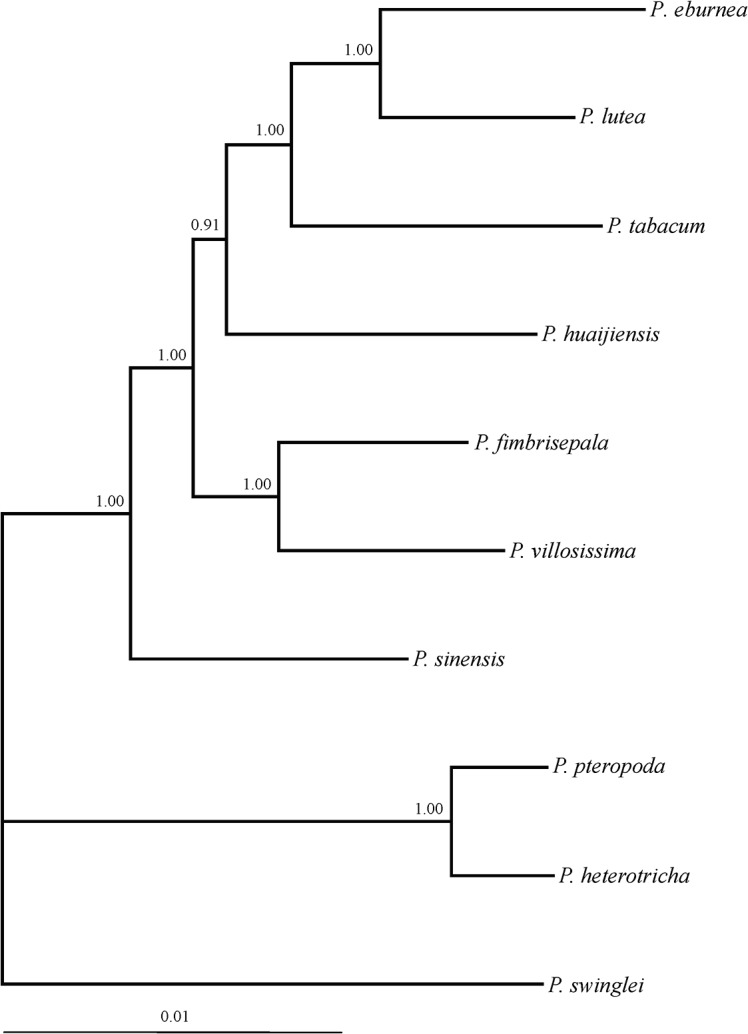 Fig 2