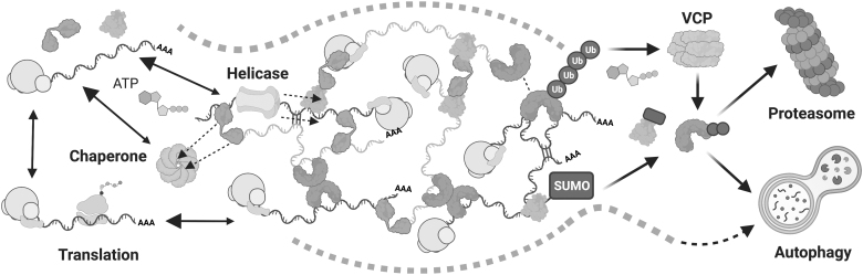 FIG. 6.