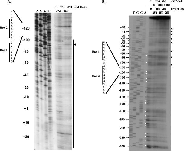 FIG. 5.