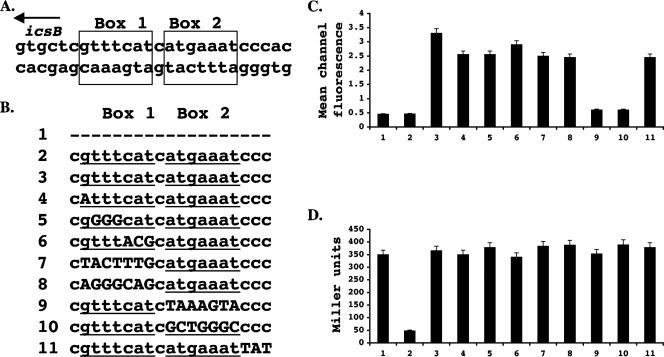 FIG. 2.