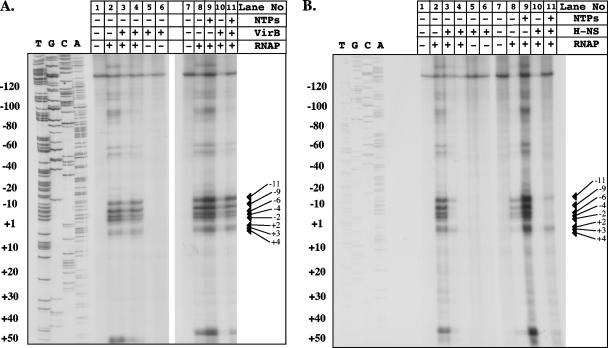 FIG. 4.