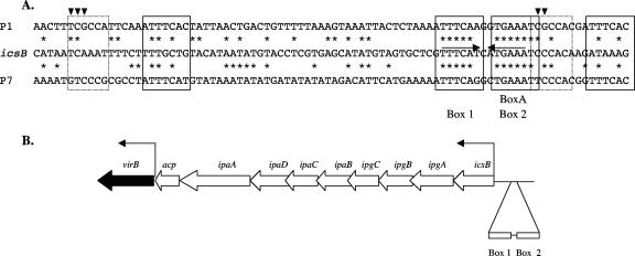 FIG. 7.