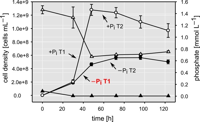 FIG 1