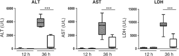 PATH-5354-FIG-0003-b