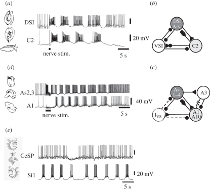 Figure 2.