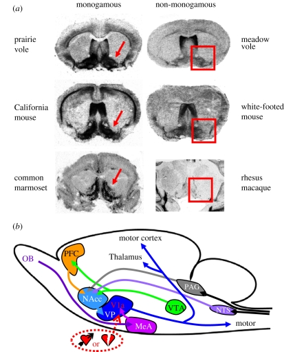 Figure 4.