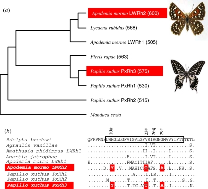 Figure 1.