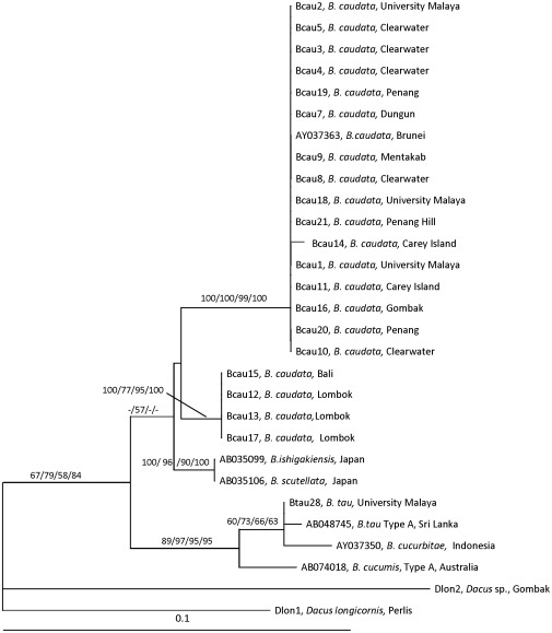 Figure 5