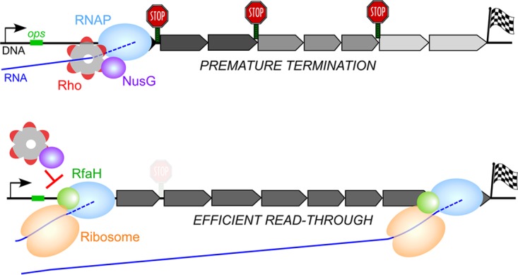 FIG 1 