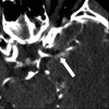 F<sc>ig</sc> 2.