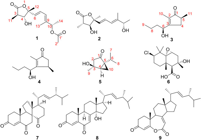 FIGURE 1