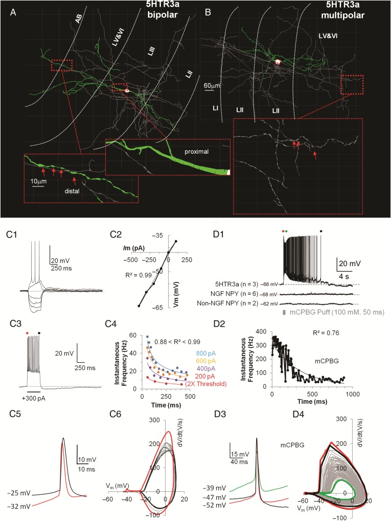 Figure 5.