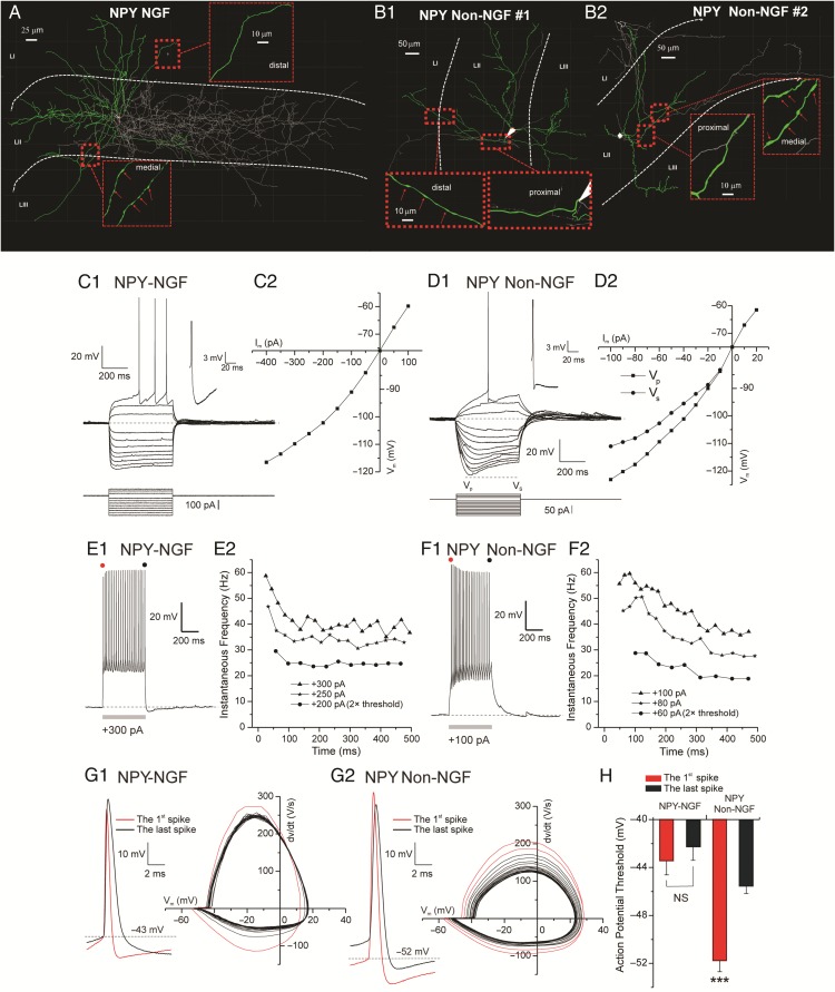 Figure 6.