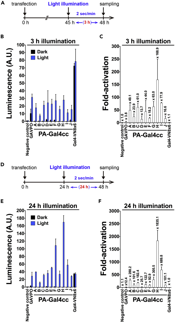 Figure 2