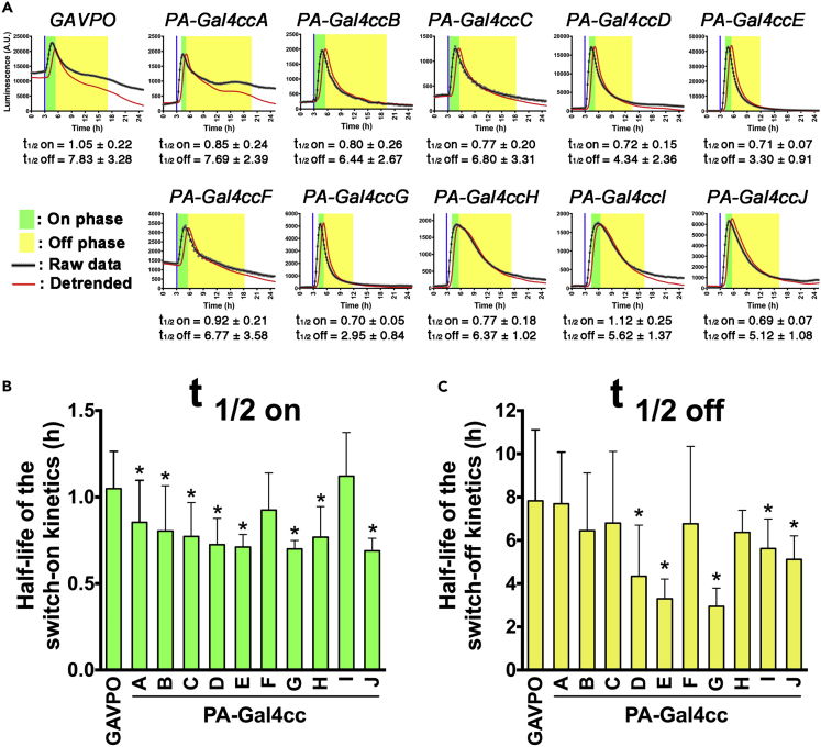 Figure 4