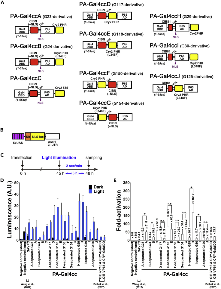 Figure 1