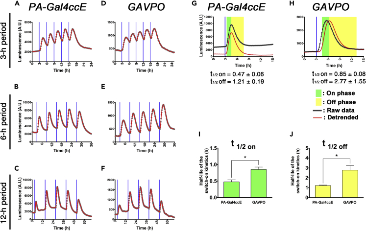 Figure 6