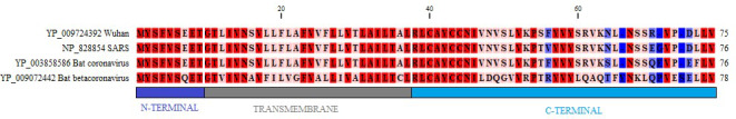 FIGURE 3