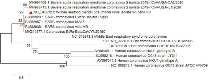 FIGURE 11