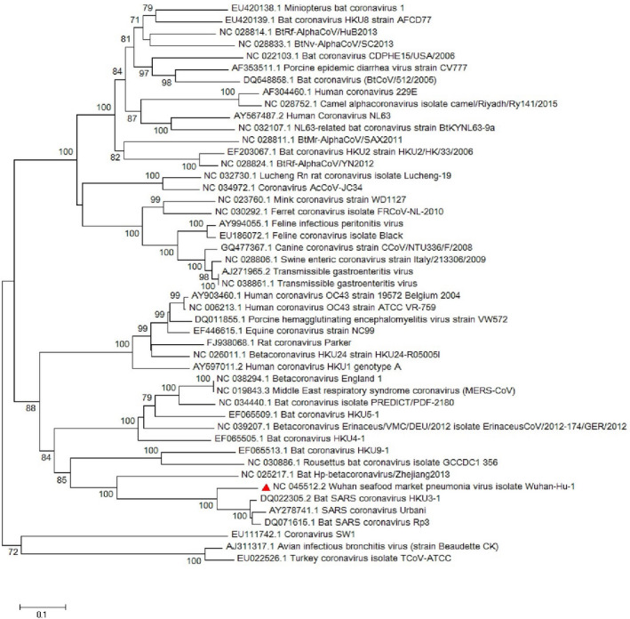 FIGURE 5