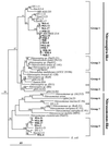 FIG. 6