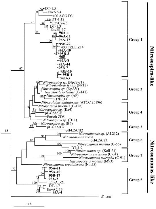 FIG. 6