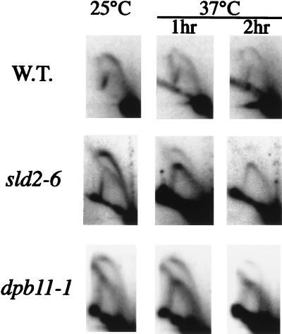 FIG. 7