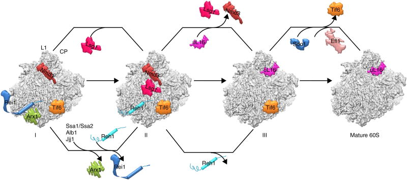 Figure 7