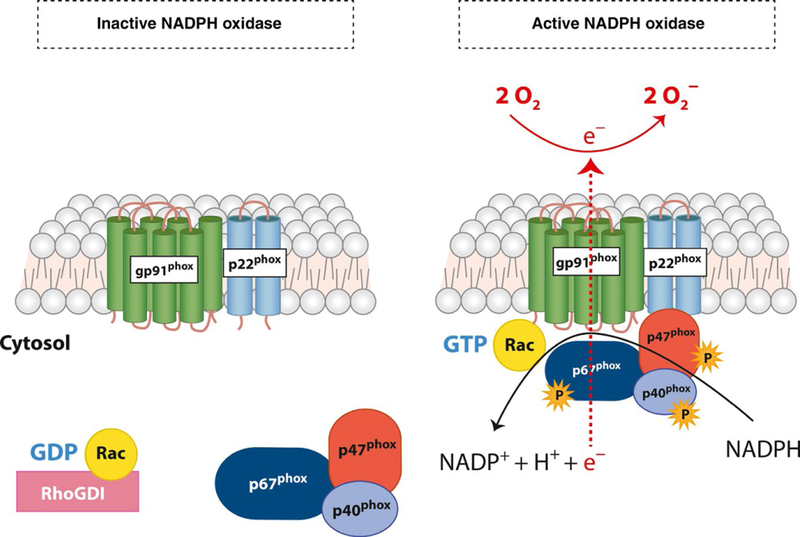 FIGURE 1