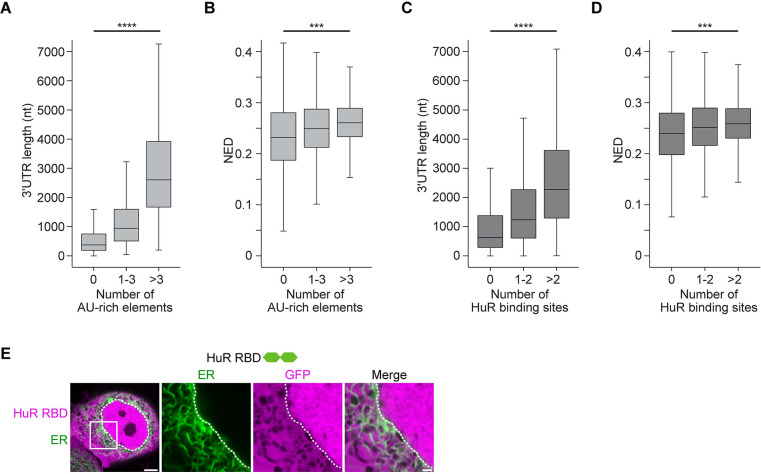 Figure 6—figure supplement 1.