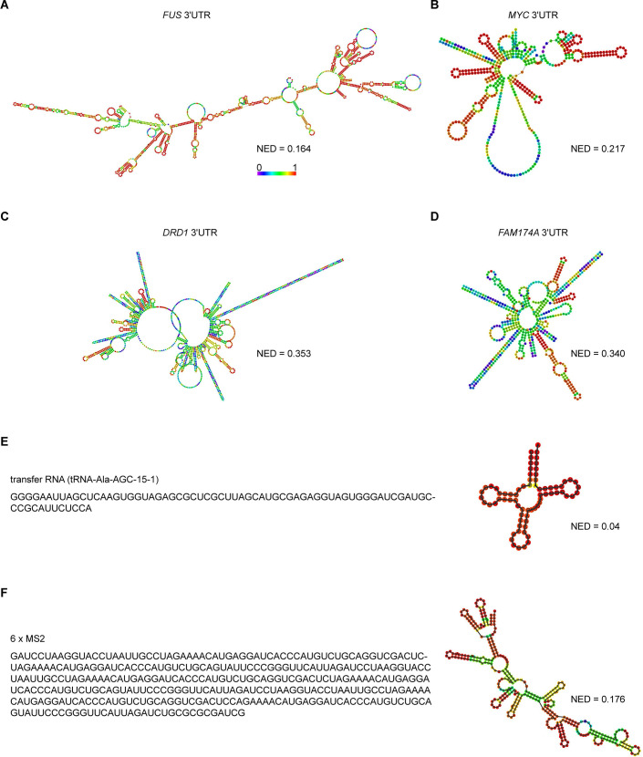 Figure 3—figure supplement 3.